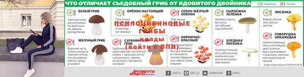мяу мяу мука Вязники