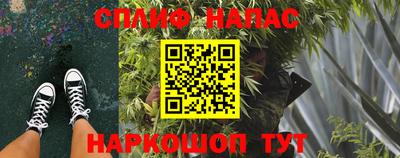 ешки Дубна