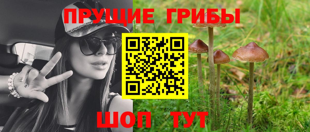 Героин Муром