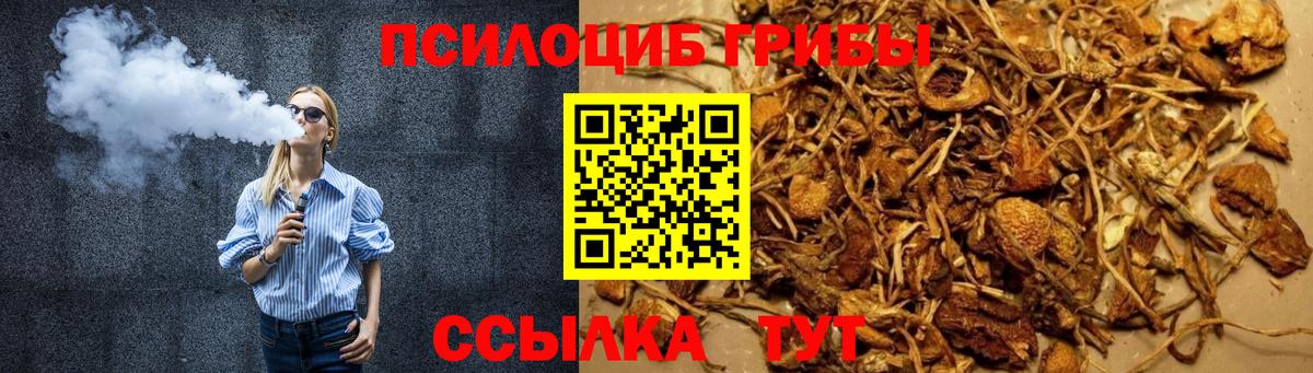 Муром  Галлюциногенные грибы MAGIC MUSHROOMS  Вход с VPN 
