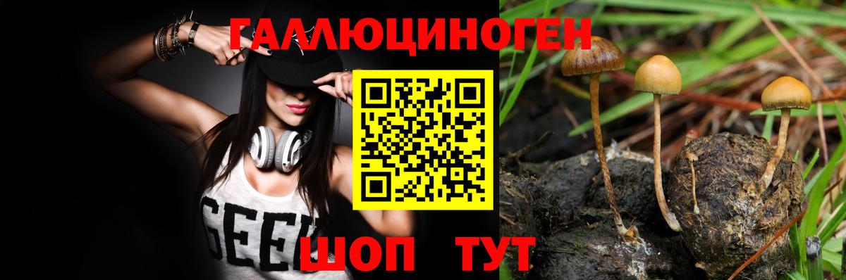 Псилоцибиновые грибы GOLDEN TEACHER Муром